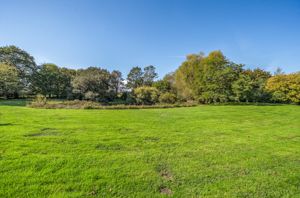 Photo 73- click for photo gallery